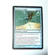 CARTE MTG MAGIC - VERSION FRANCAISE TAMISER LE SABLE