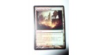 CARTE MTG MAGIC - VERSION FRANCAISE TERRITOIRE DES GRUUL
