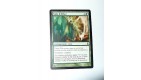 CARTE MTG MAGIC - VERSION FRANCAISE TOILE D'AETHER 