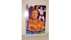 carte catch slam attax mayhem topps  - MR WONDERFUL PAUL ORNDORFF