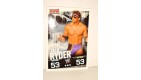 carte catch slam attax evolution topps  - ZACK RYDER