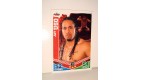 carte catch slam attax mayhem topps  - JAY USO