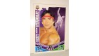 carte catch slam attax mayhem topps  - RICKY DRAGON STEAMBOAT