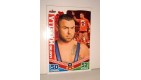carte catch slam attax mayhem topps  - SANTINO MARELLA