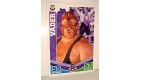 carte catch slam attax mayhem topps  - VADER