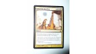 CARTE MTG MAGIC - VERSION FRANCAISE SOLEIL DU SACRIFICE
