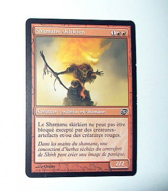 CARTE MTG MAGIC - VERSION FRANCAISE SHAMANE SKIRKIEN
