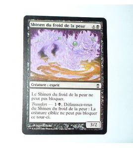 CARTE MTG MAGIC - VERSION FRANCAISE SHINEN DU FROID DE LA PEUR  