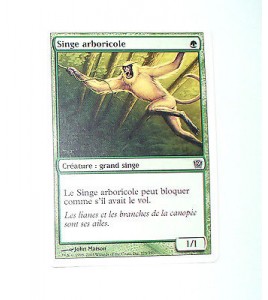 CARTE MTG MAGIC - VERSION FRANCAISE SINGE ARBORICOLE