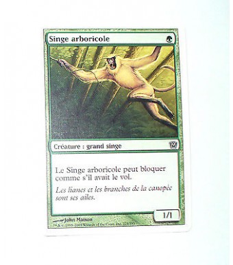 CARTE MTG MAGIC - VERSION FRANCAISE SINGE ARBORICOLE