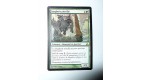 CARTE MTG MAGIC - VERSION FRANCAISE SANGBOIS PETRIFIE