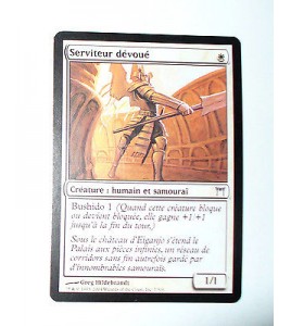 CARTE MTG MAGIC - VERSION FRANCAISE SERVITEUR DEVOUE 