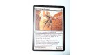 CARTE MTG MAGIC - VERSION FRANCAISE SERVITEUR DEVOUE 