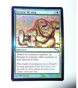 CARTE MTG MAGIC FOIL - VERSION FRANCAISE SENTEUR DE SANG 