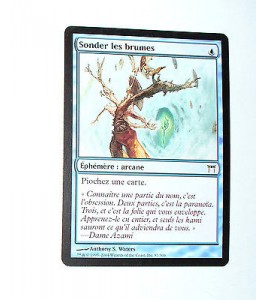 CARTE MTG MAGIC - VERSION FRANCAISE SONDER LES BRUMES