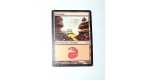 CARTE MTG MAGIC - VERSION FRANCAISE MONTAGNE 3
