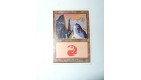 CARTE MTG MAGIC - VERSION FRANCAISE MONTAGNE 7