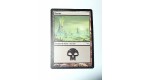 CARTE MTG MAGIC - VERSION FRANCAISE MARAIS 5