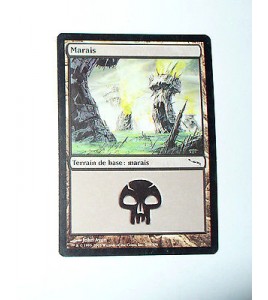 CARTE MTG MAGIC - VERSION FRANCAISE MARAIS 3