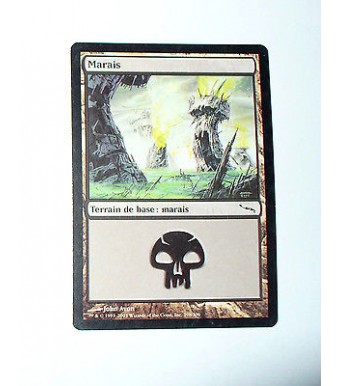 CARTE MTG MAGIC - VERSION FRANCAISE MARAIS 3