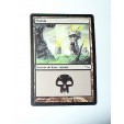 CARTE MTG MAGIC - VERSION FRANCAISE MARAIS 3