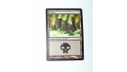 CARTE MTG MAGIC - VERSION FRANCAISE MARAIS 1