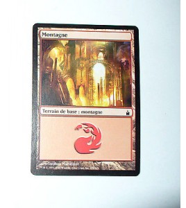 CARTE MTG MAGIC - VERSION FRANCAISE MONTAGNE 19 
