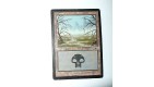 CARTE MTG MAGIC - VERSION FRANCAISE MARAIS 7