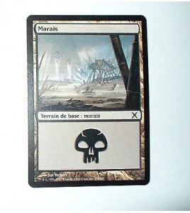 CARTE MTG MAGIC - VERSION FRANCAISE MARAIS 11