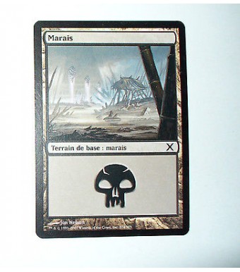 CARTE MTG MAGIC - VERSION FRANCAISE MARAIS 11