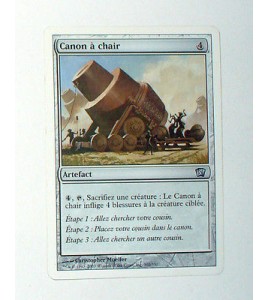 CARTE MTG MAGIC - VERSION FRANCAISE CANON A CHAIR