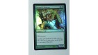 CARTE MTG MAGIC FOIL - VERSION FRANCAISE CHASSEUR FANGREN 