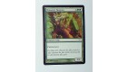 CARTE MTG MAGIC - VERSION FRANCAISE CHASSEUR FANGREN  