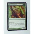 CARTE MTG MAGIC - VERSION FRANCAISE CHASSEUR FANGREN  