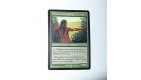 VOYANTE DE FA'ADIYAH - CREATURE HUMAIN ET SHAMANE - VF CARTE MTG MAGIC 