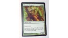 CHASSEUR FANGREN - CREATURE BETE - VF CARTE MTG MAGIC