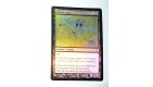 HURLEUR NIM - CREATURE ZOMBIE - VF CARTE MTG MAGIC HOLO