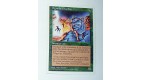 OGRE DU GHAZBAN - INVOQUER OGRE - VF CARTE MTG MAGIC