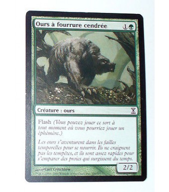 OURS A FOURRURE CENDREE - CREATURE OURS - VF CARTE MTG MAGIC 