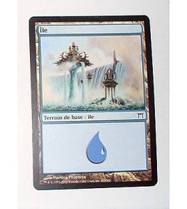 ILE  TERRAIN DE BASE ILE N°6 - VF CARTE MTG MAGIC