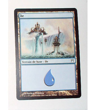 ILE  TERRAIN DE BASE ILE N°6 - VF CARTE MTG MAGIC