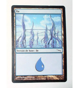 ILE  TERRAIN DE BASE ILE N°11 - VF CARTE MTG MAGIC