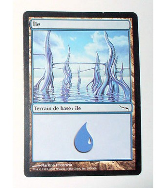 ILE  TERRAIN DE BASE ILE N°11 - VF CARTE MTG MAGIC