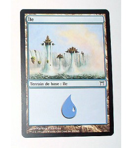 ILE  TERRAIN DE BASE ILE N°5 - VF CARTE MTG MAGIC