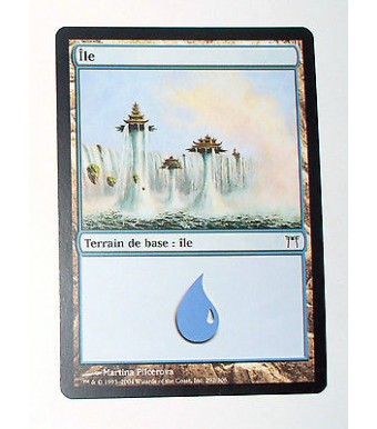 ILE  TERRAIN DE BASE ILE N°5 - VF CARTE MTG MAGIC