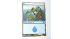 ILE  TERRAIN DE BASE ILE N°15 - VF CARTE MTG MAGIC