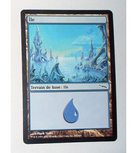 ILE  TERRAIN DE BASE ILE N°14 - VF CARTE MTG MAGIC
