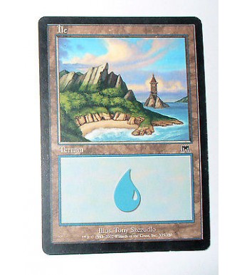 ILE  TERRAIN DE BASE ILE N°16 - VF CARTE MTG MAGIC