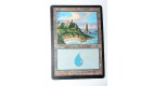 ILE  TERRAIN DE BASE ILE N°16 - VF CARTE MTG MAGIC
