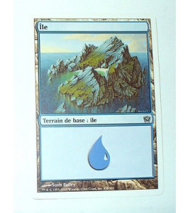 ILE  TERRAIN DE BASE ILE N°20 - VF CARTE MTG MAGIC